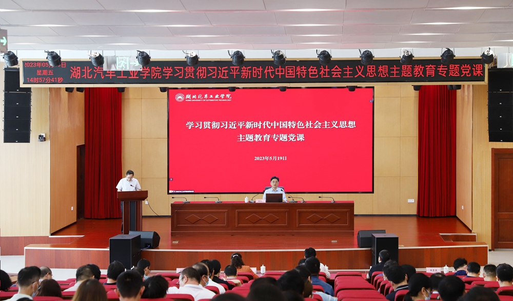 解锁赛马智慧，探索正版免费资料大全的奥秘与乐趣之旅