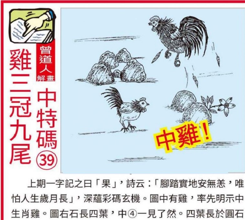 解锁蓝月亮马会，赛马的激情与智慧全攻略