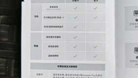 2048年新澳门历史开奖记录探索，一场数字与历史的奇妙之旅
