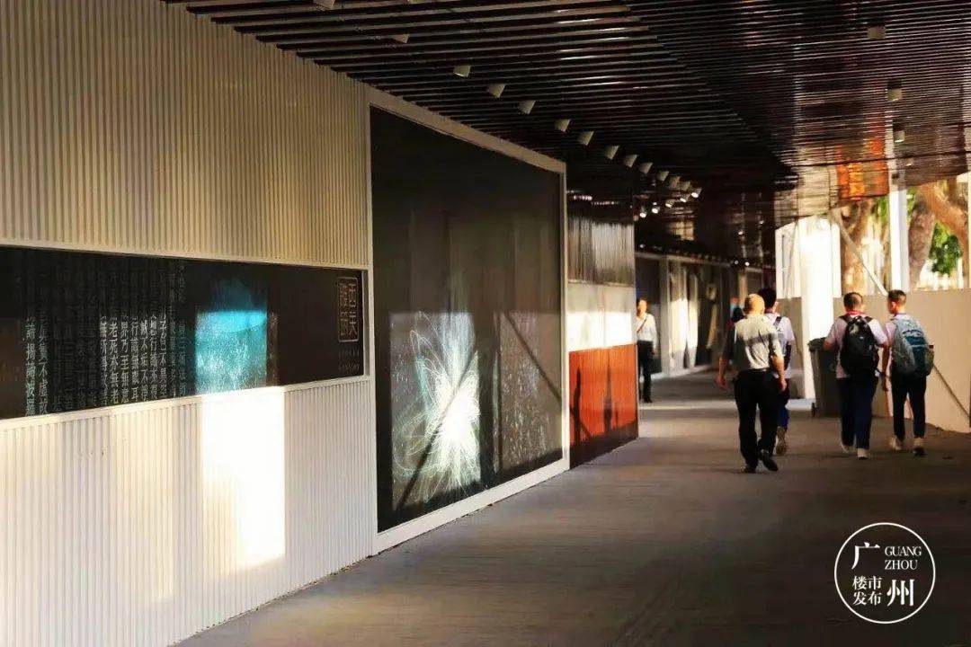 2019东方心经资料大全，传统文化与现代智慧的交融探索之旅