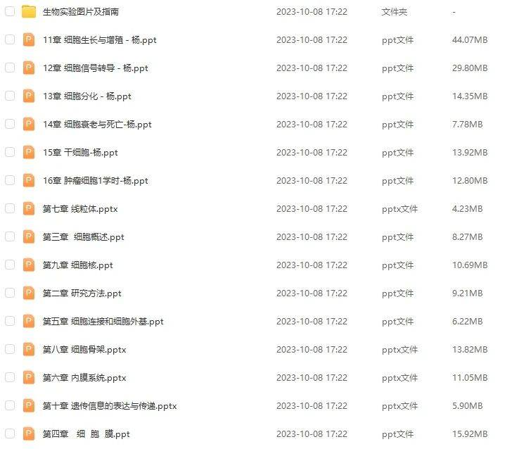 澳门资料大全，正版258期深度解析与实用指南