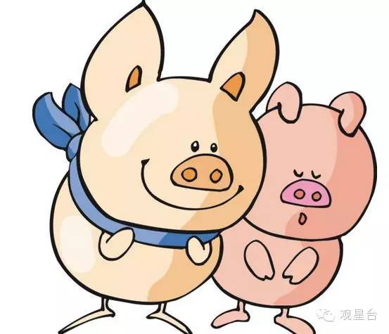 2019年香港开奖回顾，展望未来，把握机遇