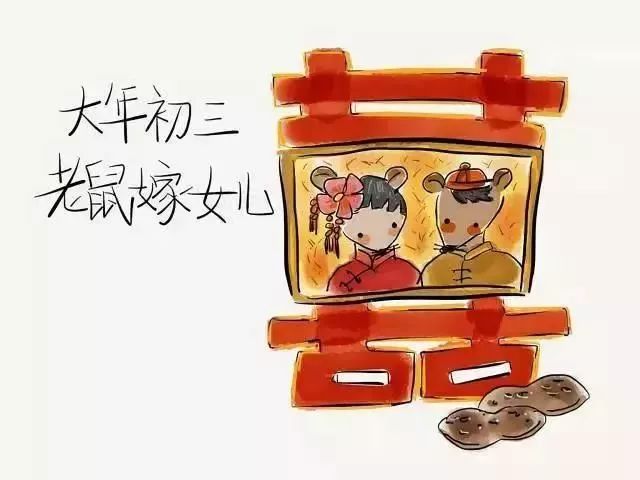 揭秘王中王的秘密，493578120的独特魅力与非凡之处