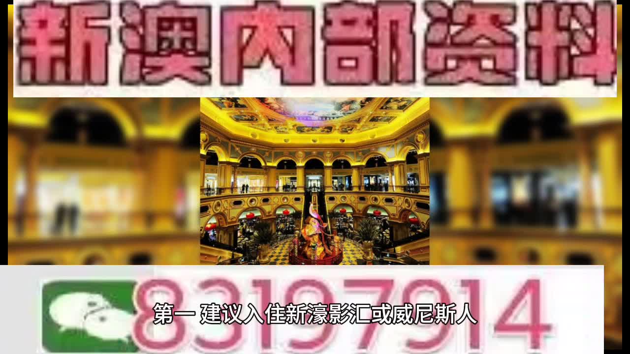 2019年澳门特料码，神秘与期待的交织