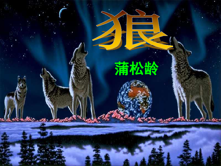 广西狼精英主论坛，汇聚智慧与力量的交流平台
