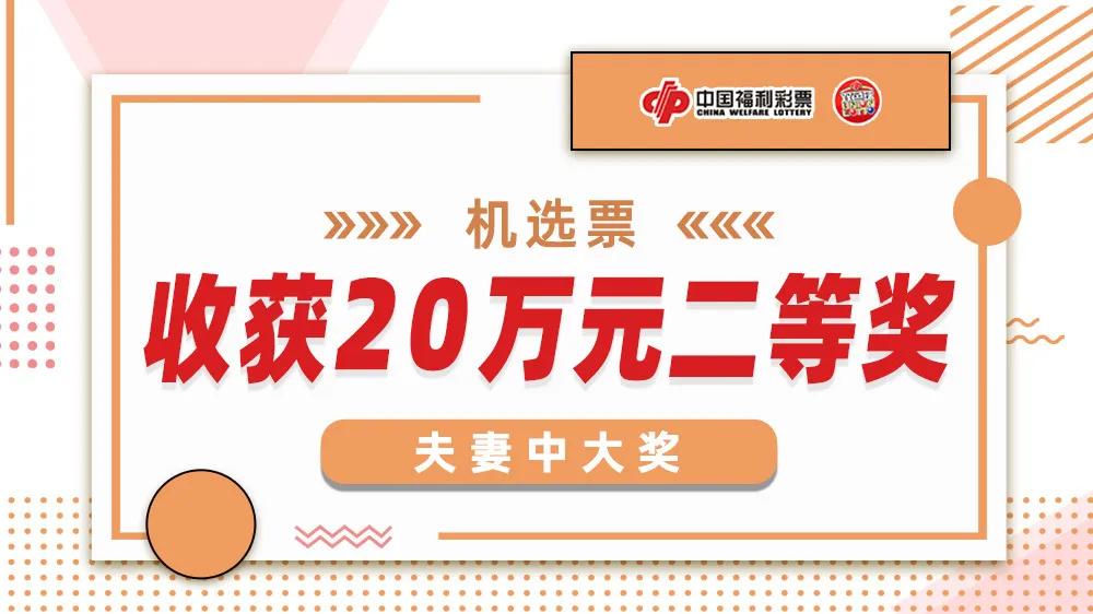 福彩二四六，梦想与希望的每日交汇点