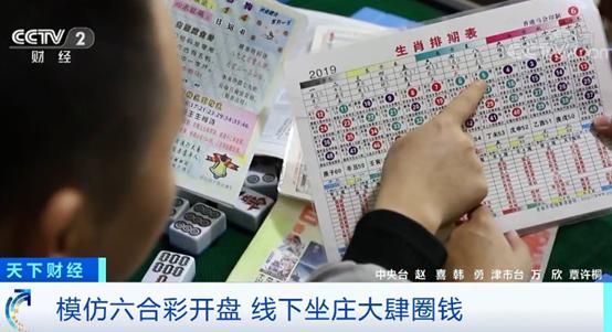 揭秘2019年香港六开彩，数字游戏背后的故事与真相