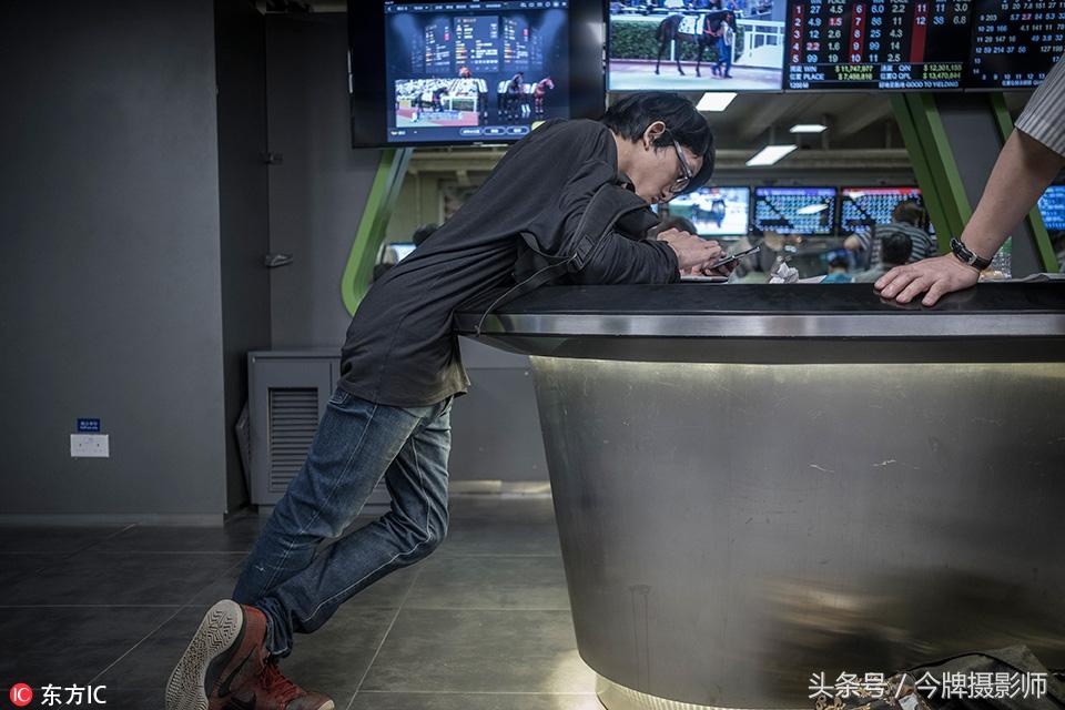 智慧与责任，探索香港正版马会资料的投注之旅