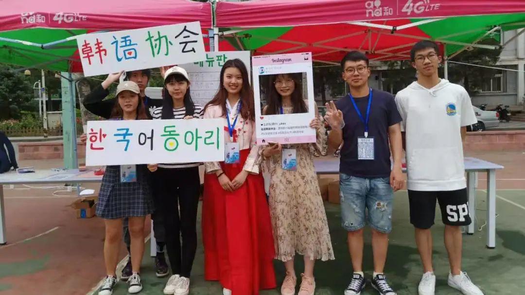 解锁2019全年免费资料大全，知识宝藏的钥匙之旅