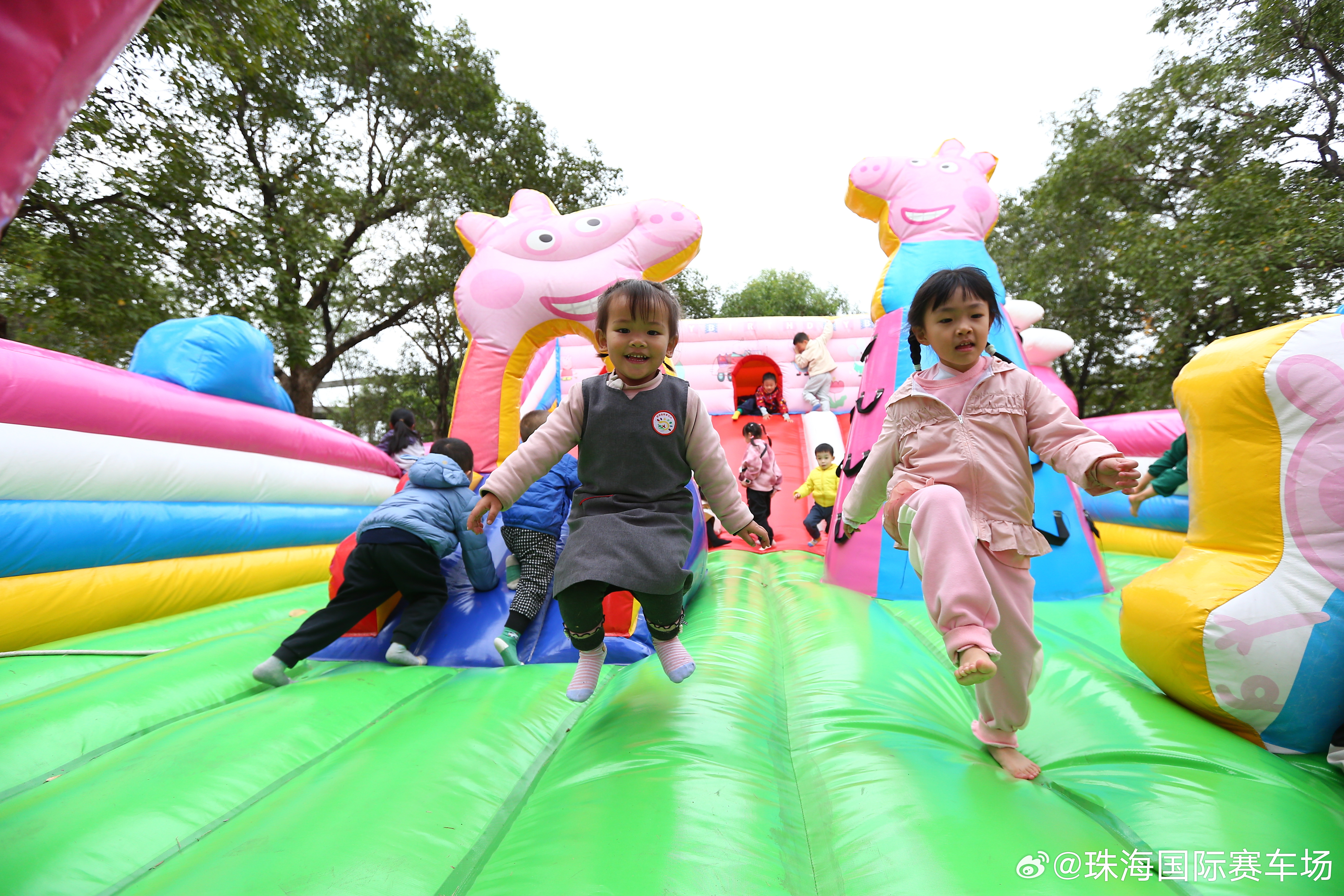 乐乐地带论坛，线上乐园的温馨与活力汇聚地