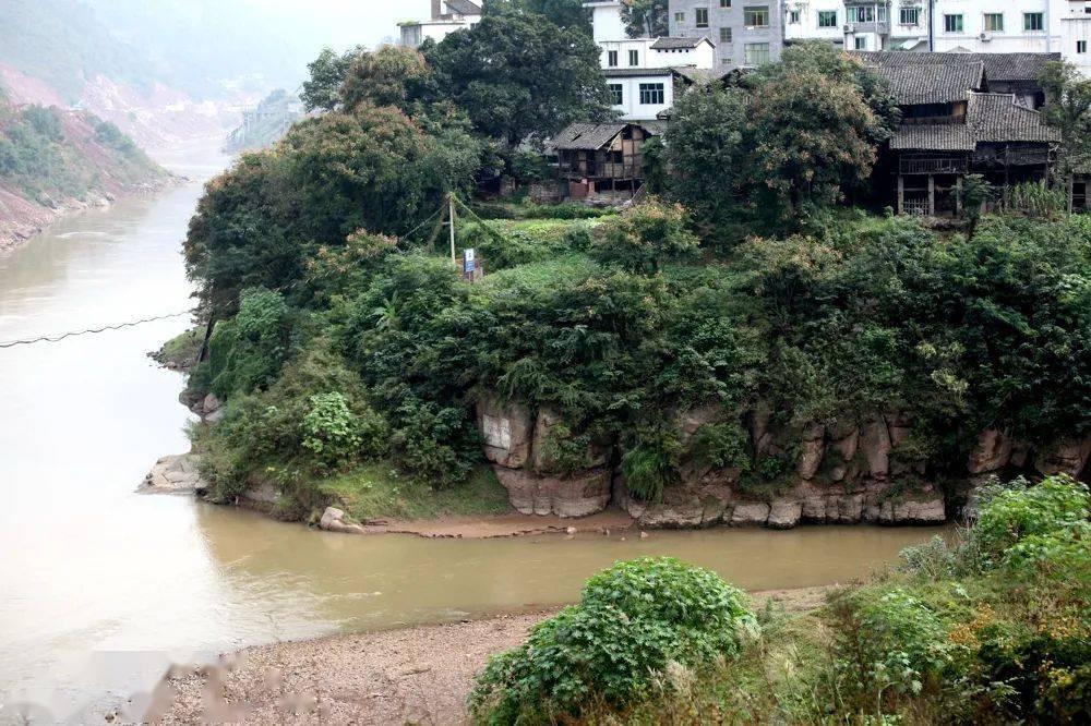 九龙图库助手，数字时代的图像管理新利器，让你的图片更高效、更有序！