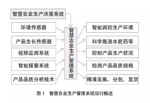 2 古老智慧与现代解读