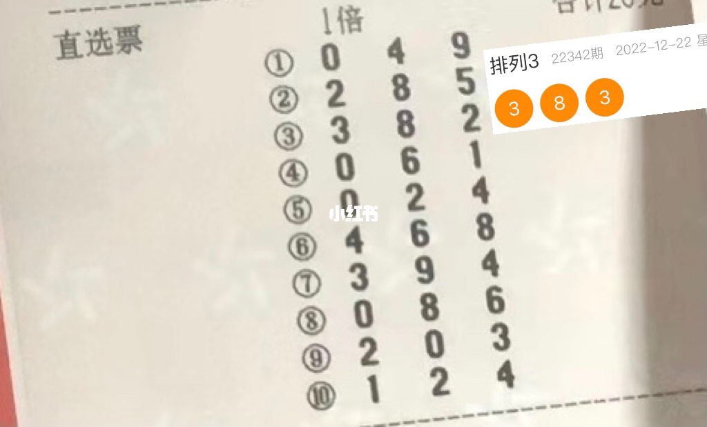 香港今晚开奖揭晓，梦想与现实的交汇点探索