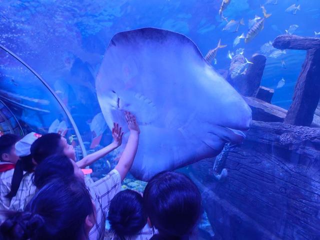 138,097号美人鱼论坛，探索神秘水域的奇幻之旅