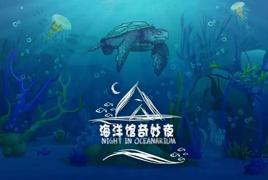 揭秘小鱼儿玄机2站，探寻隐藏的神秘面纱与独特魅力
