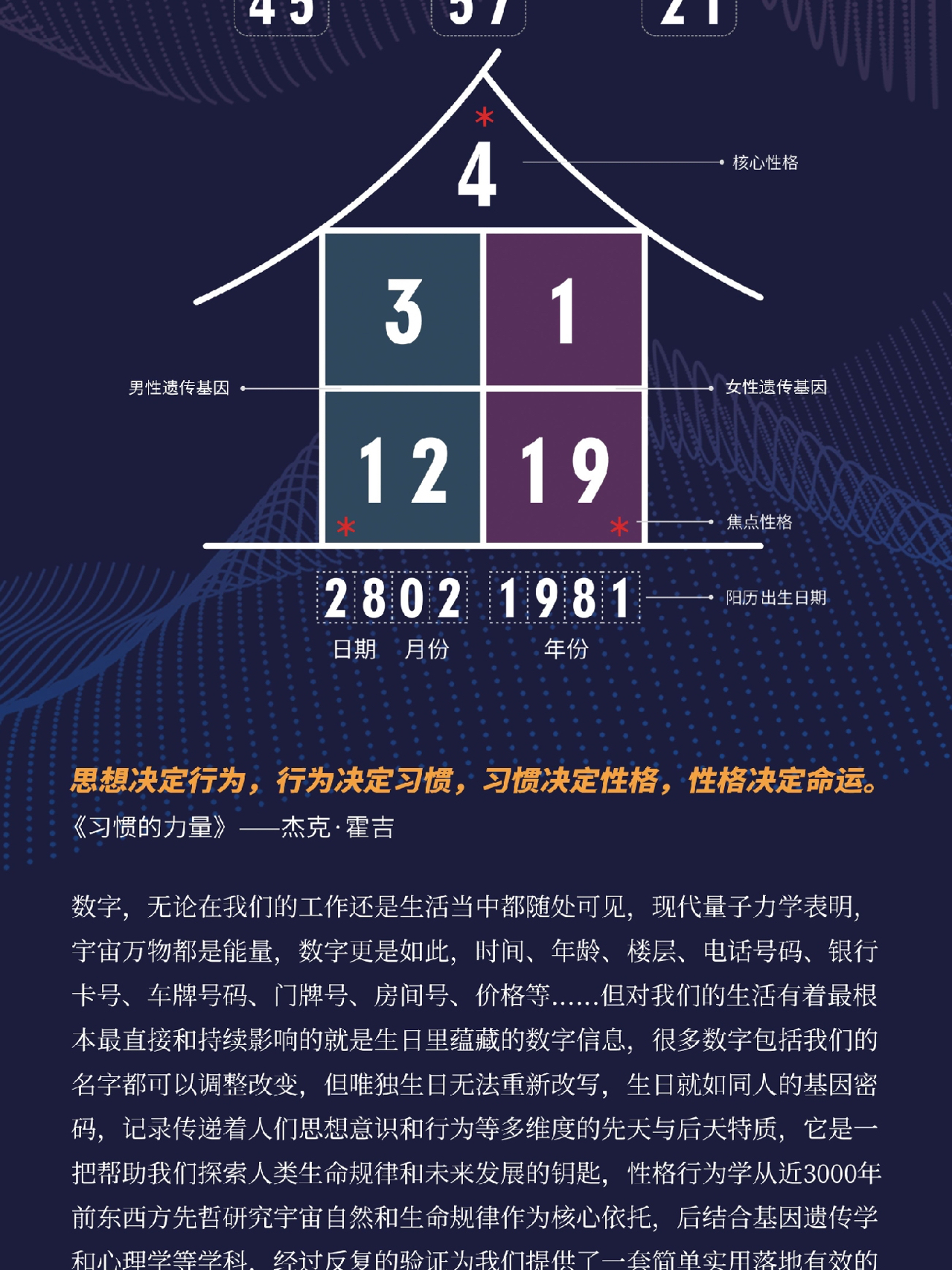 数字世界的微妙平衡，三码中一，精准预测的奥秘揭秘