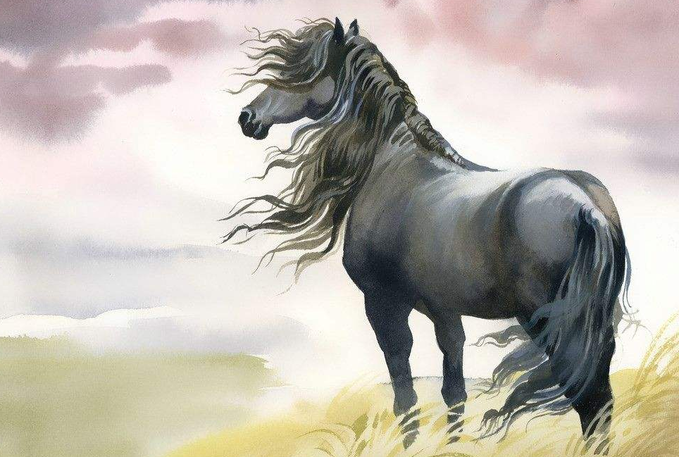 揭秘特马生肖，探寻最大神秘生物的真相