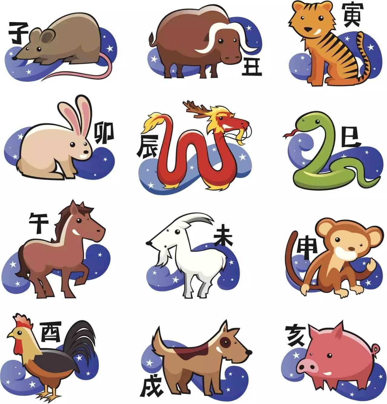 揭秘9点30生肖，中国传统文化与现代娱乐的奇妙融合之旅！