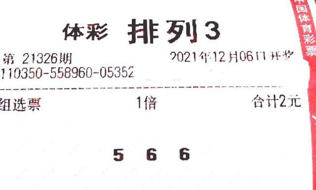 2025年3月13日
