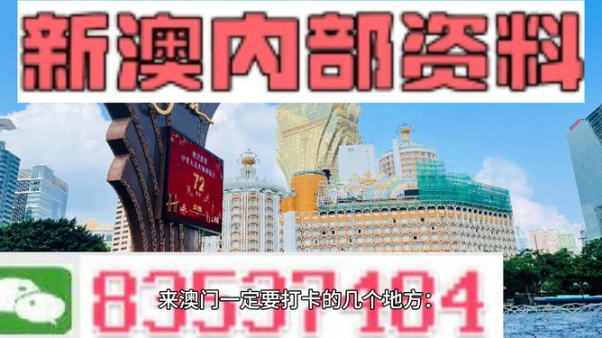 2049年，新澳门精准资料免费共享的未来展望与挑战分析