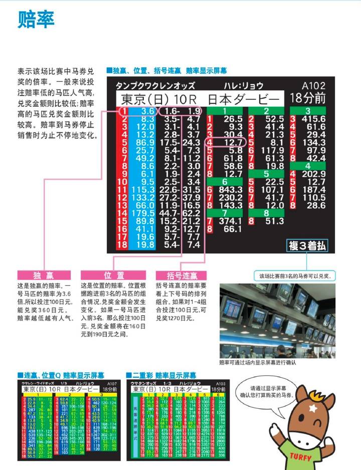马会传真论坛，免费资料深度解析与高效利用指南