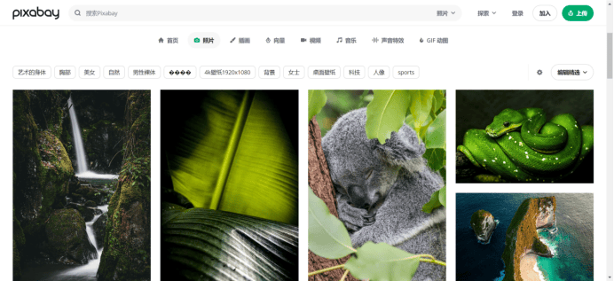 解锁创意设计，探索图库大全的无限可能，拥有49,072张免费资源宝藏！