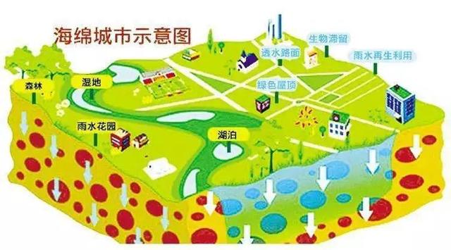 澳门彩市新纪元，科技与传统的和谐共生