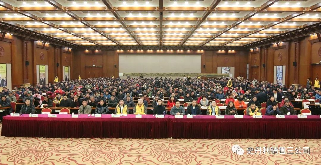 澳门论坛，汇聚高手智慧，分享成功经验