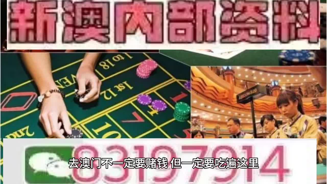 澳门彩市49，数字的魅力与期待之旅