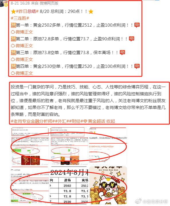 揭秘澳门三肖精准预测，1049C的神秘面纱与真相探索之旅