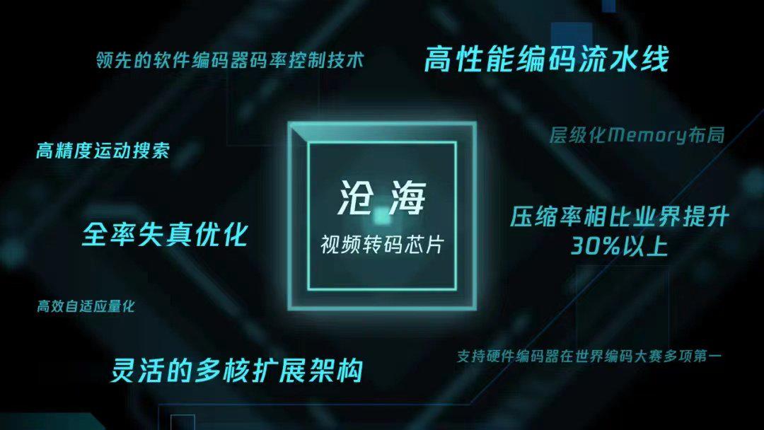 二肖与数字的奇妙世界，长期免费公开探索之旅！