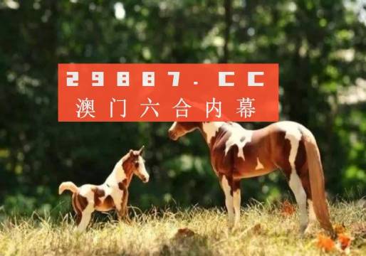 解码49码，探索数字背后的秘密图库之旅