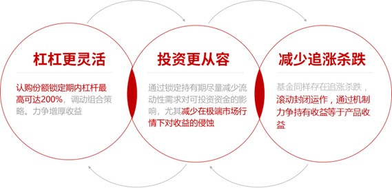 探索期四肖选一的奥秘，理性与直觉在彩票选择中的微妙平衡
