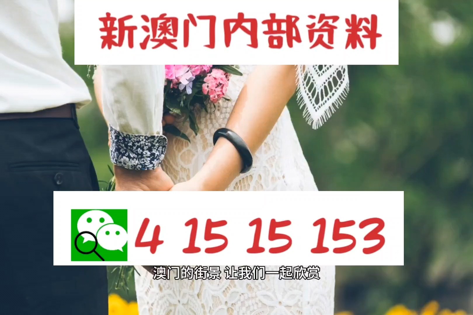 免费资料网站带你探索澳门，领略东方拉斯维加斯的独特魅力之旅！