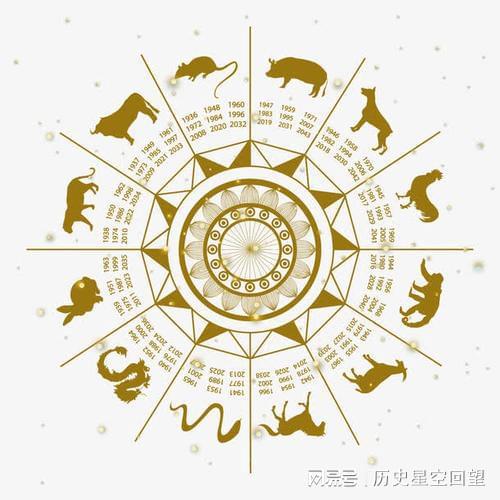 白小姐一肖中特揭秘，生肖预测的奥秘与理性思考探索
