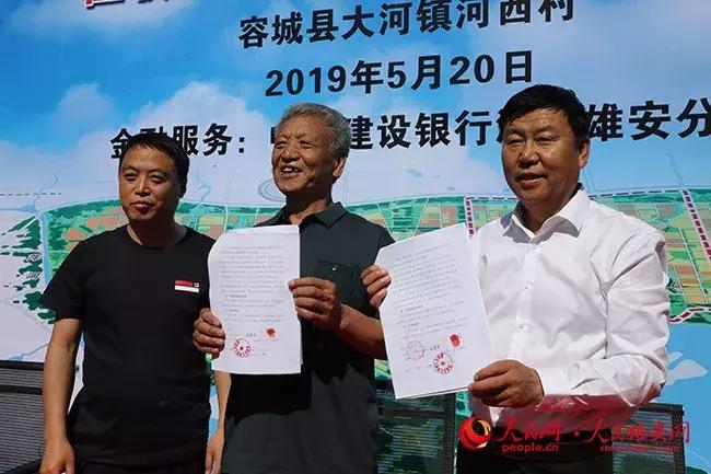 探索二肖3码，解码数字背后的智慧与乐趣之旅