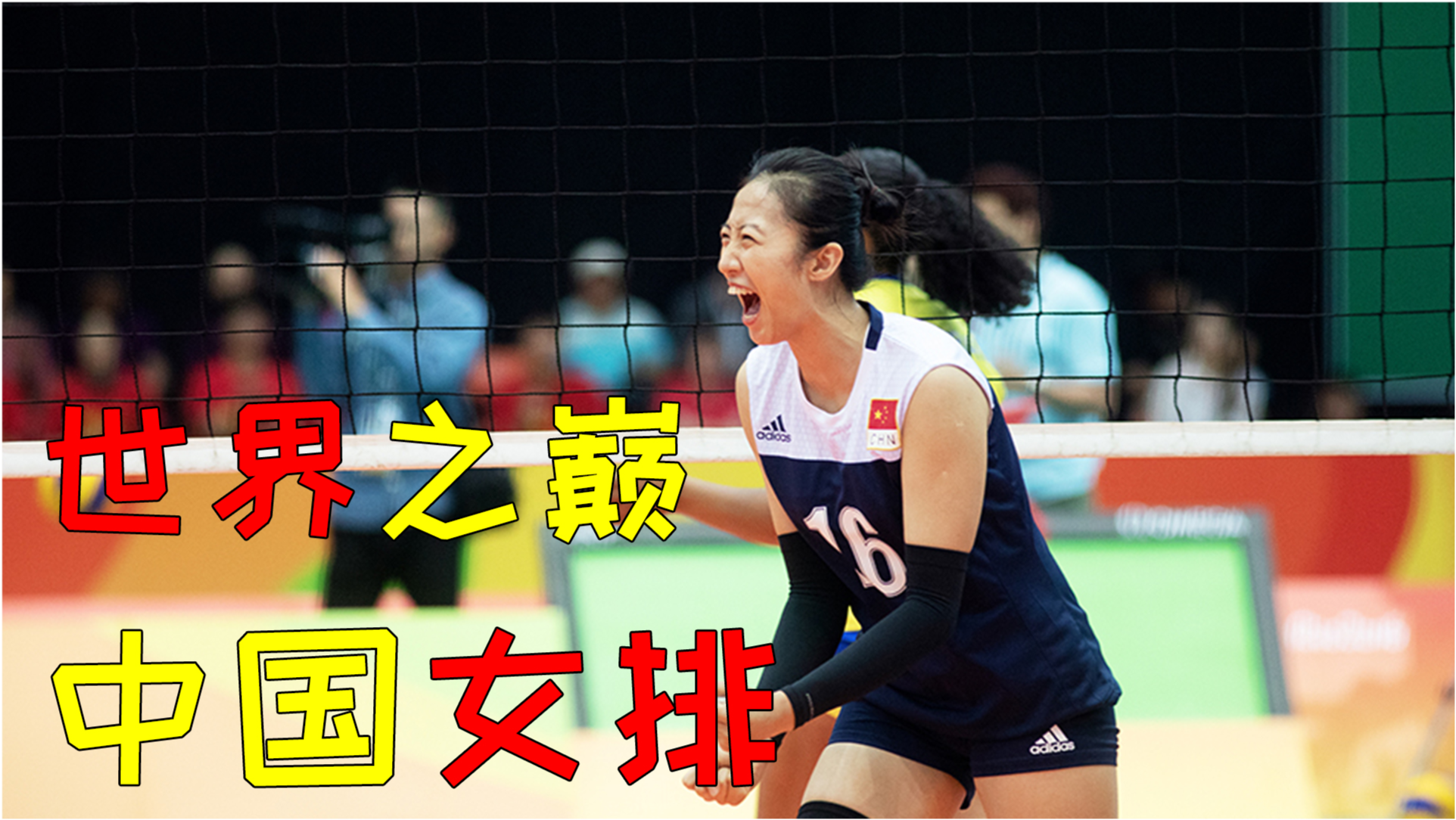 中央5台女排直播，见证激情与荣耀的瞬间