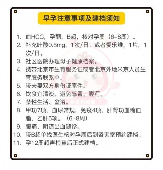 204年新奥门资料免费获取，全面指南与注意事项解析