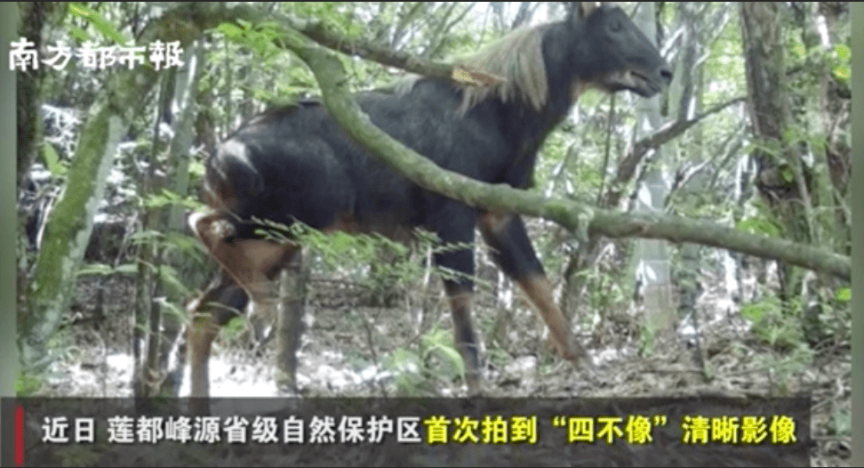 独特魅力