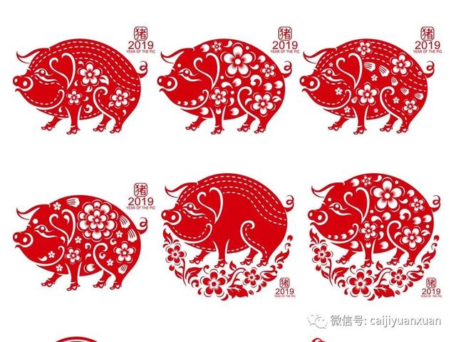 2019年属相解析，揭秘零四年生人的生肖奥秘