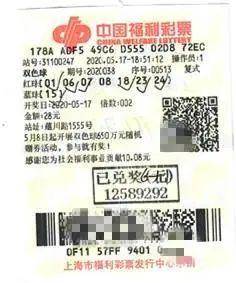 上海十一选五，数字背后的幸运与智慧之旅