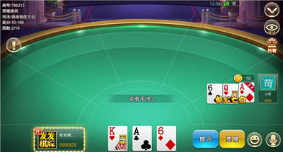 红五三打一，规则魅力与策略解析的深度探讨