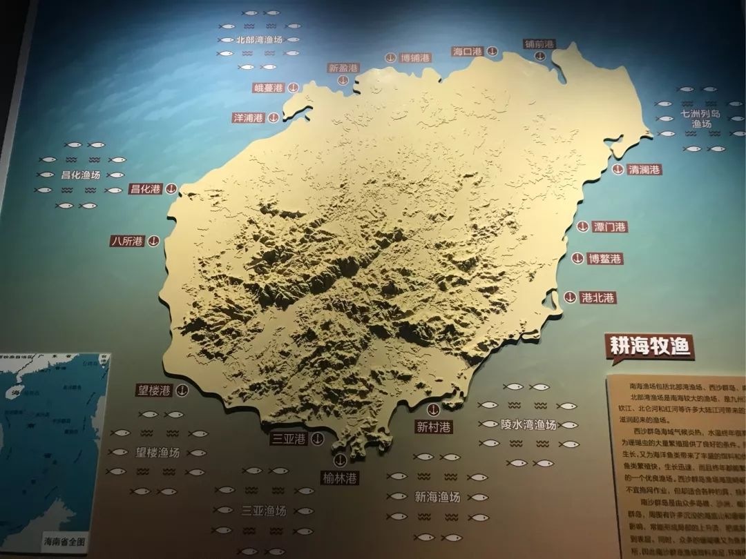 海南，独特魅力背后的归属之谜——海南省的非凡之处探索。
