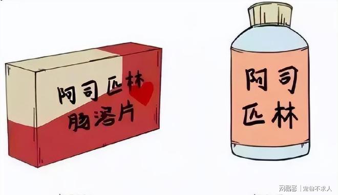 2025年5月 第7页
