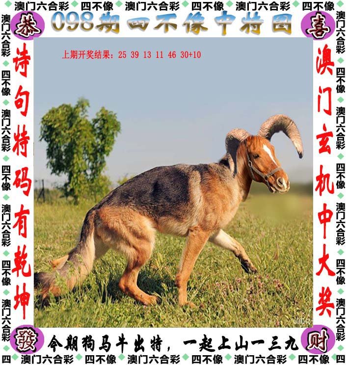 揭秘今晚必中四不像图,解锁你的幸运密码!