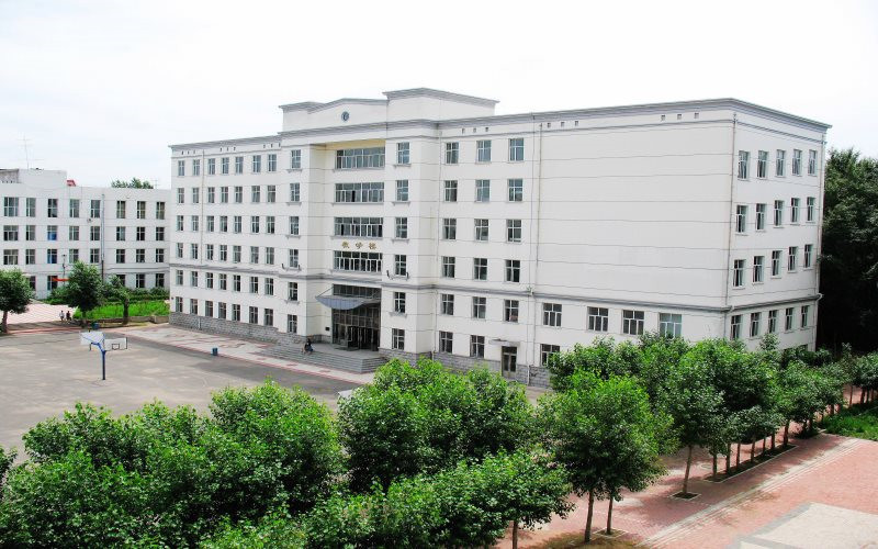 哈尔滨职业技术学院，探索黑龙江之光，揭秘其卓越教育之路的顶尖高等职业院校。