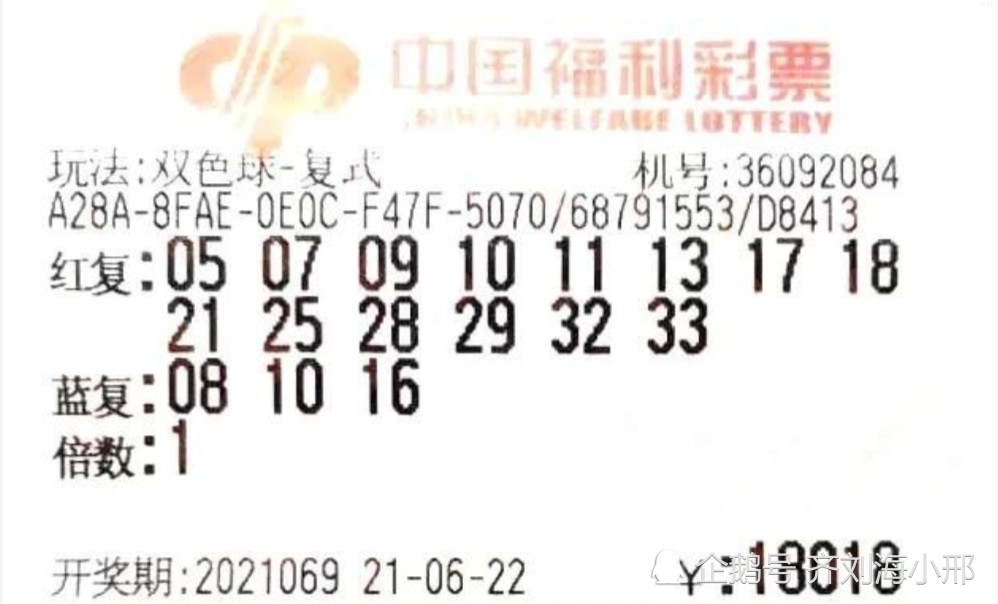 期待与惊喜