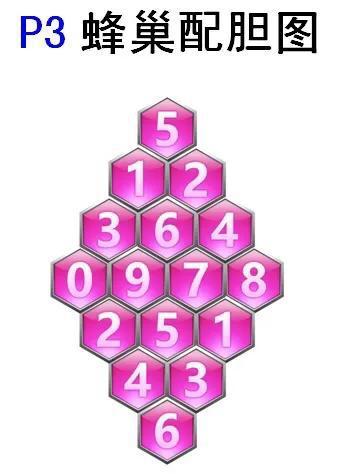 太湖钓叟字谜揭秘,马后炮中的一点玄机探索