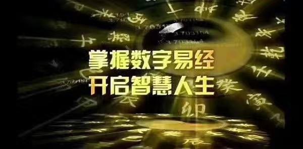 揭秘578开奖号的神秘前后关系,一场数字游戏的深度剖析与解析