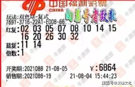 左岸春风与双色球,幸运背后的智慧之光